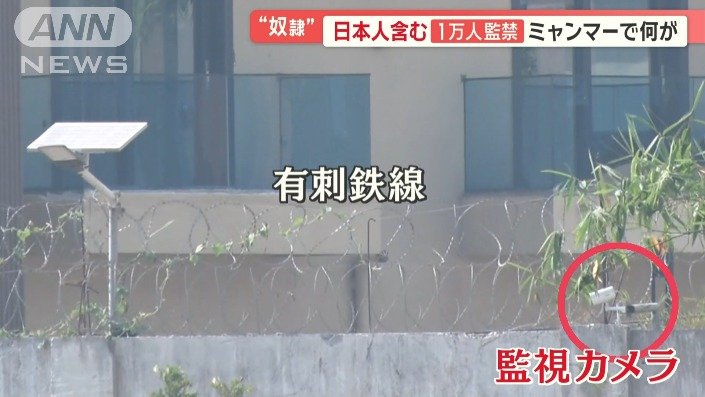 有刺鉄線も
