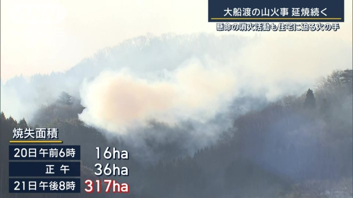 焼失面積