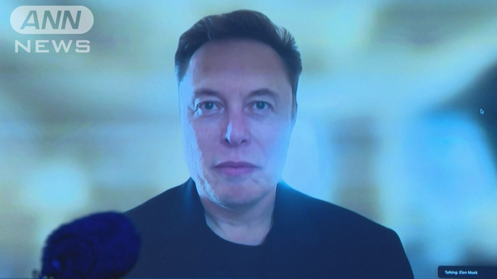 AfDの集会にオンラインで登場したイーロン･マスク氏