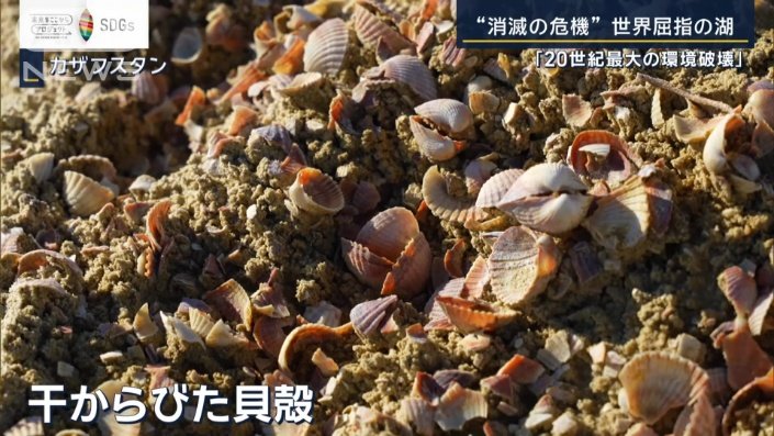 足元には貝殻