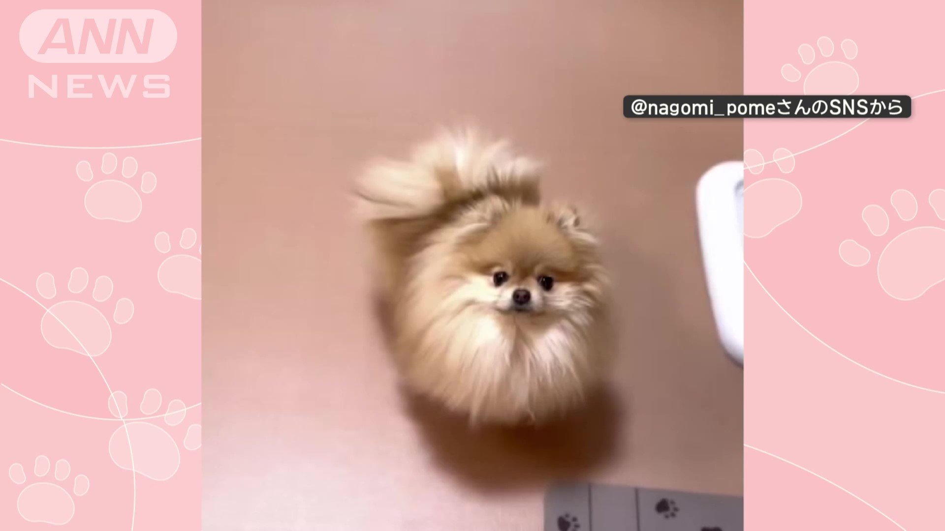 見つめる