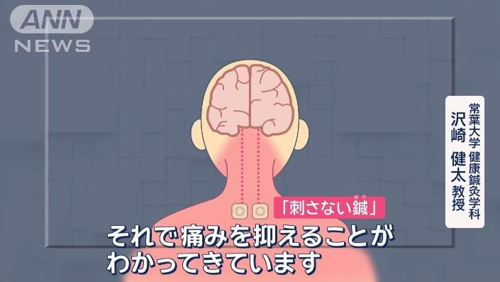 常葉大学沢崎教授に聞く