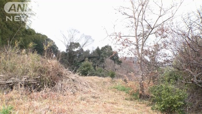 茂みの奥にも進めるように