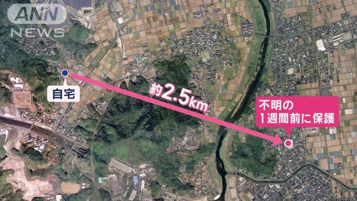 不明の1週間前にスーパーで保護