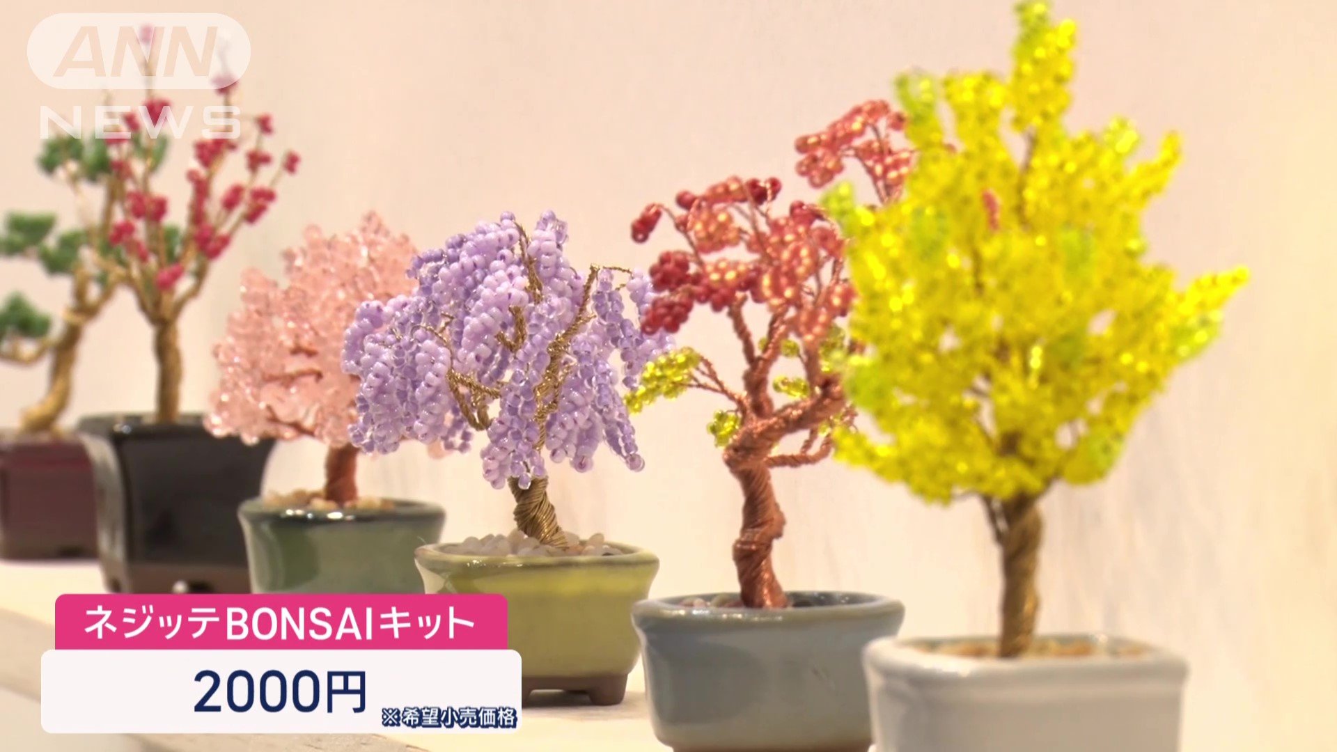 ネジッテBONSAIキット