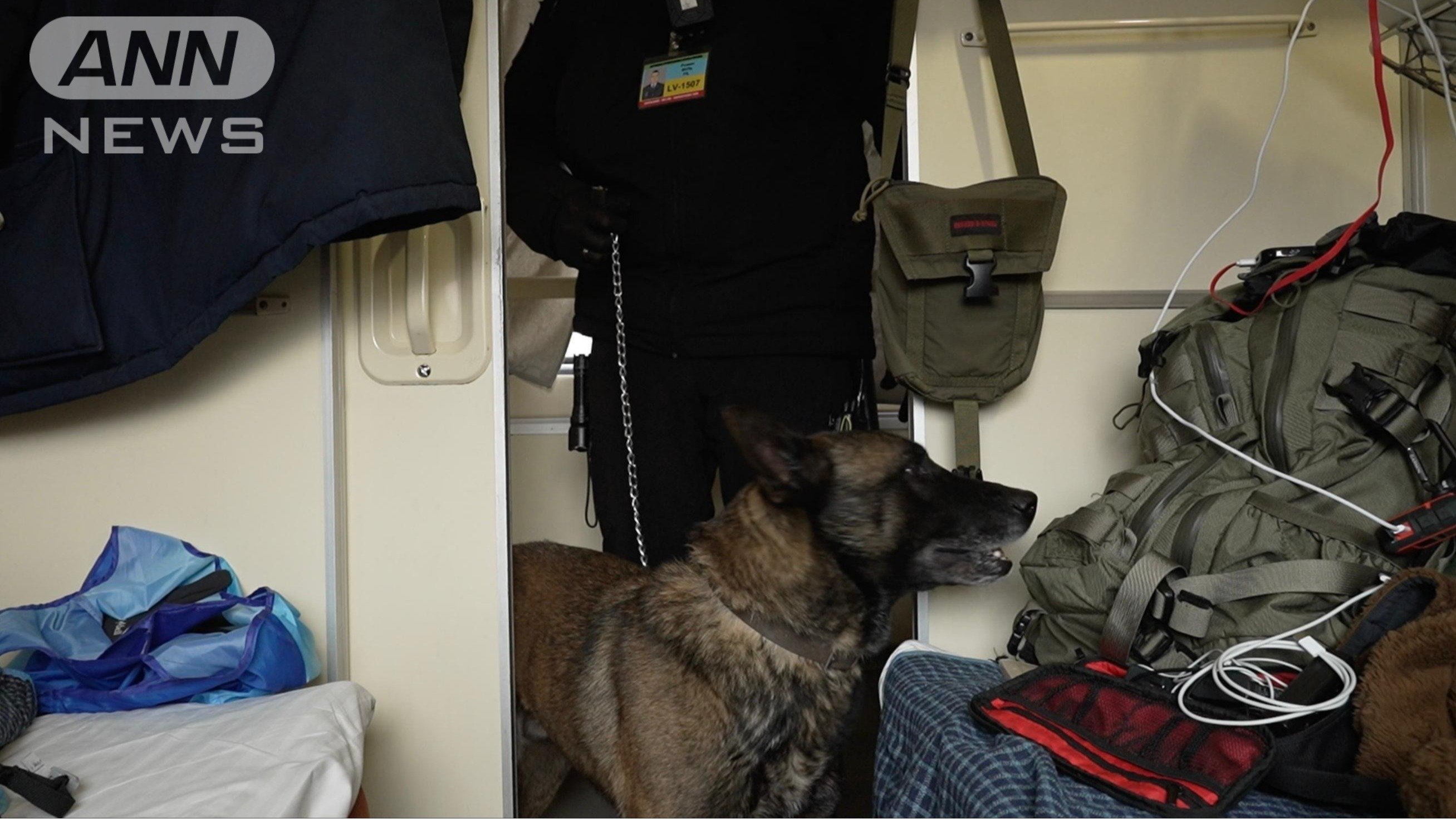 犬も使ってコンパートメントをチェック