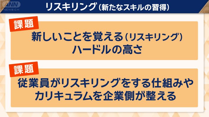 リスキング（新たなスキルの習得）