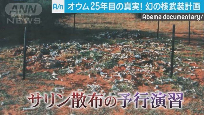 羊たちにサリンを散布