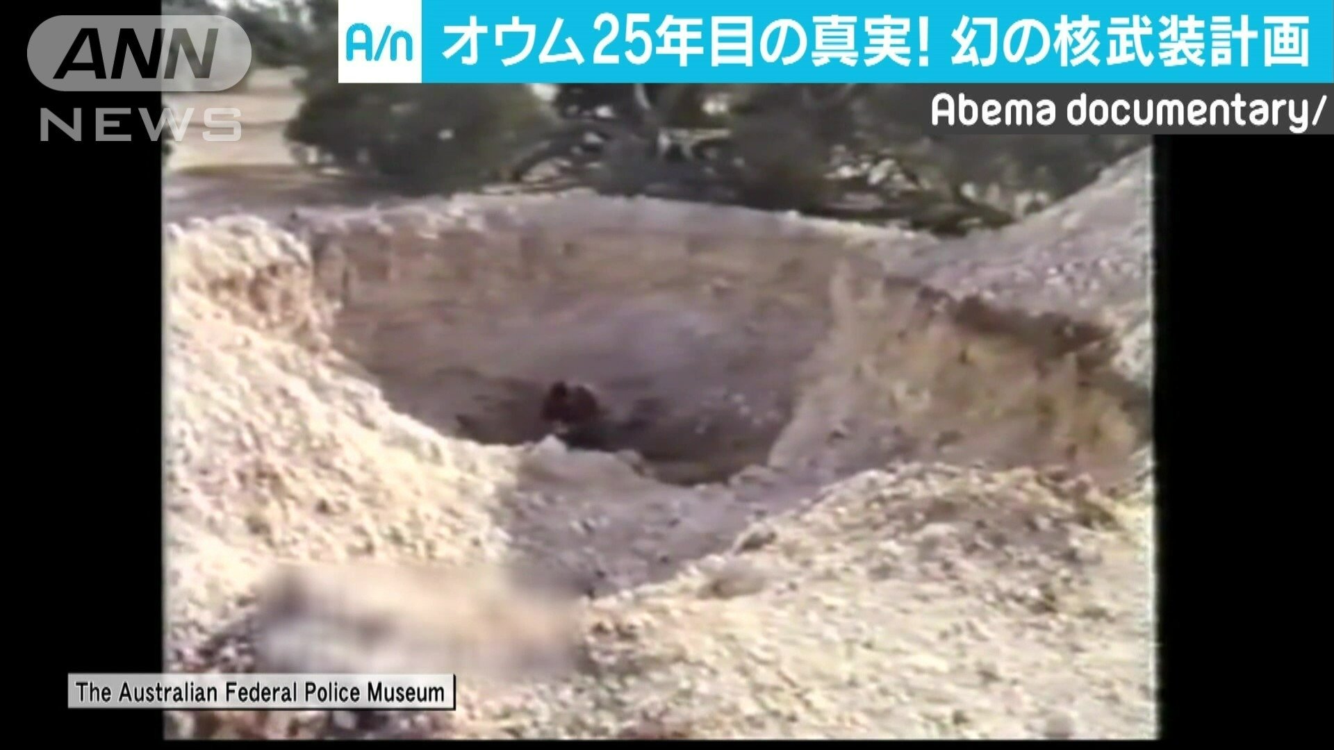 オーストラリアの牧場で見つかったオウムが堀った穴