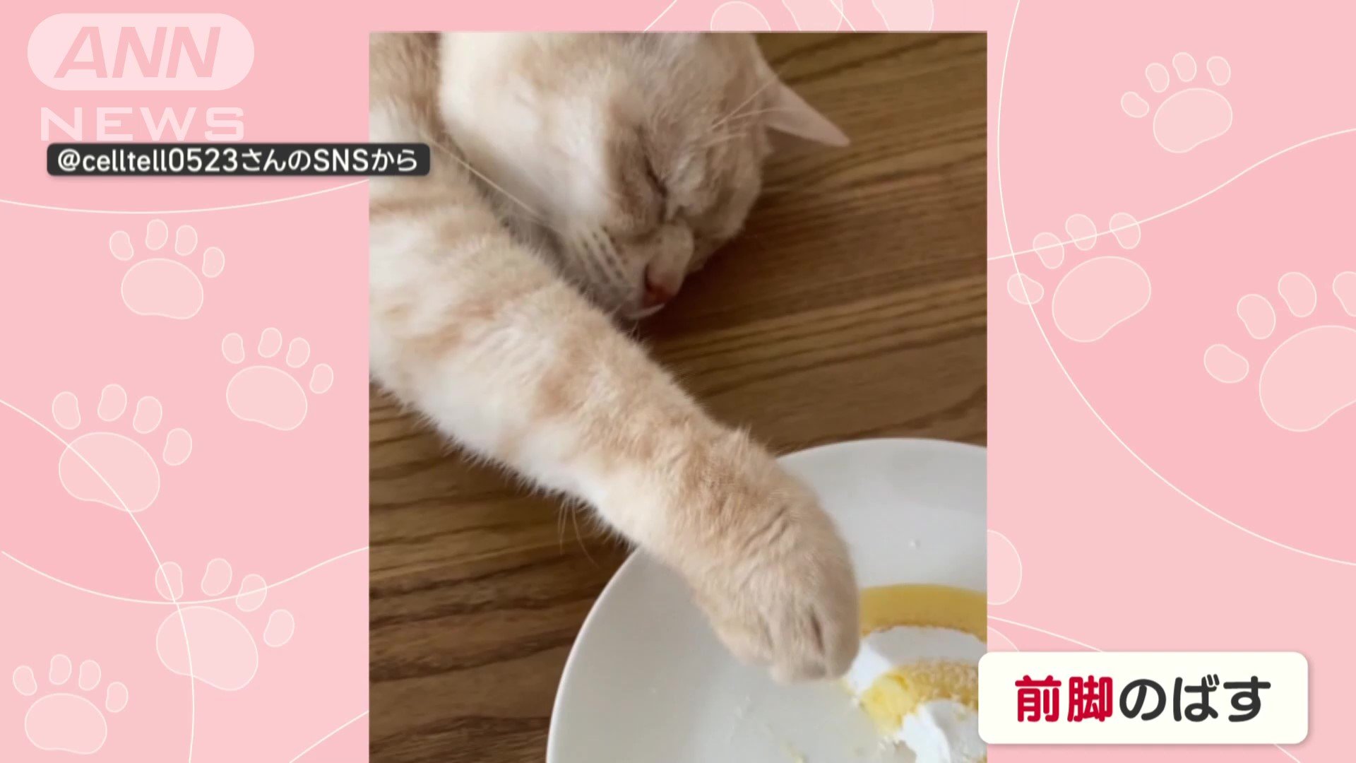 前脚を伸ばす
