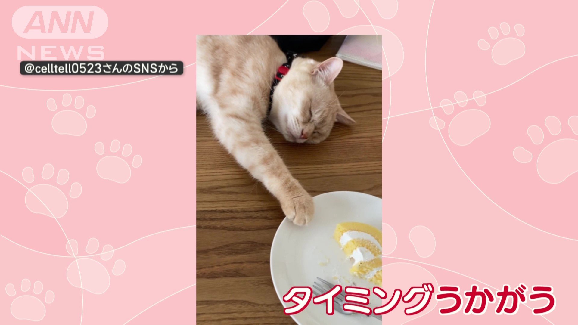 タイミングうかがう