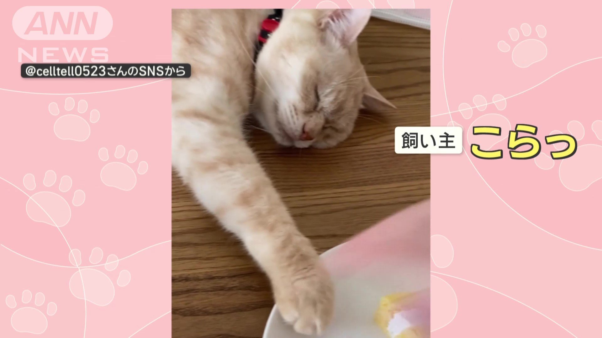 飼い主さんが注意！