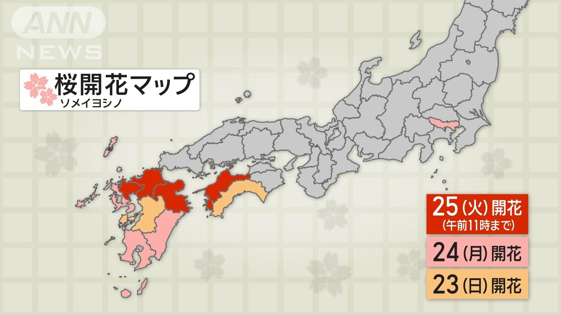桜開花マップ