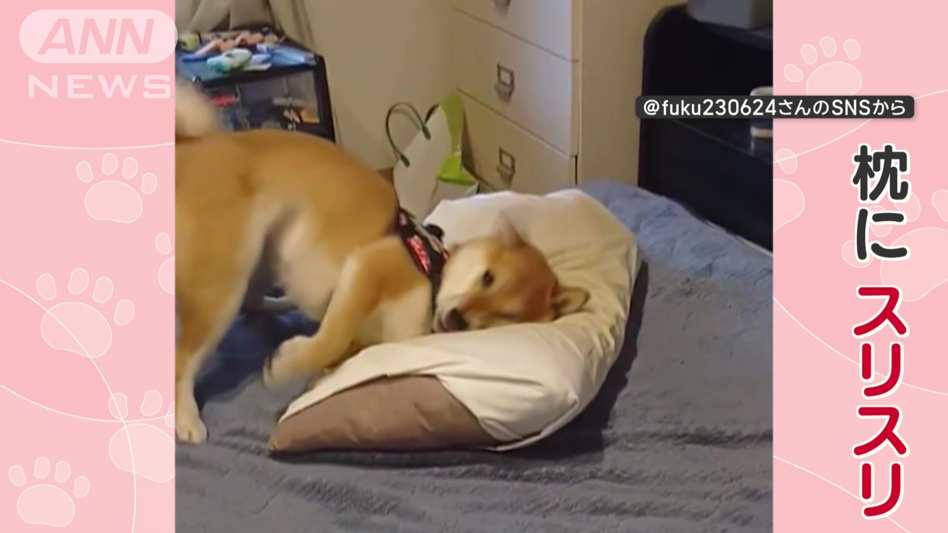 枕にスリスリ