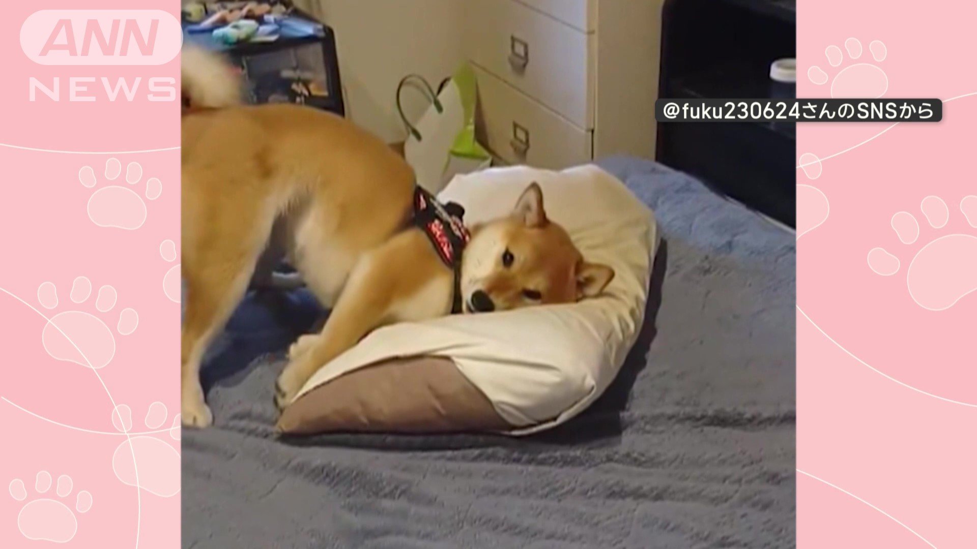 枕に寝そべる