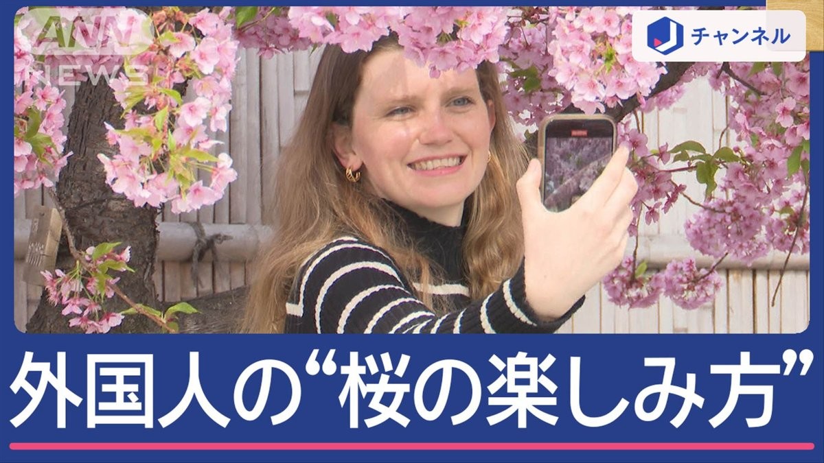外国人観光客の“桜の楽しみ方”は？「非公開」の穴場も！
