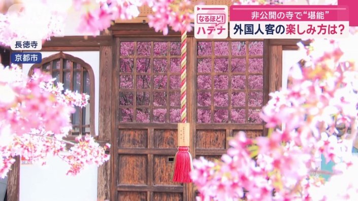 ガラスに映り込む色鮮やかな桜
