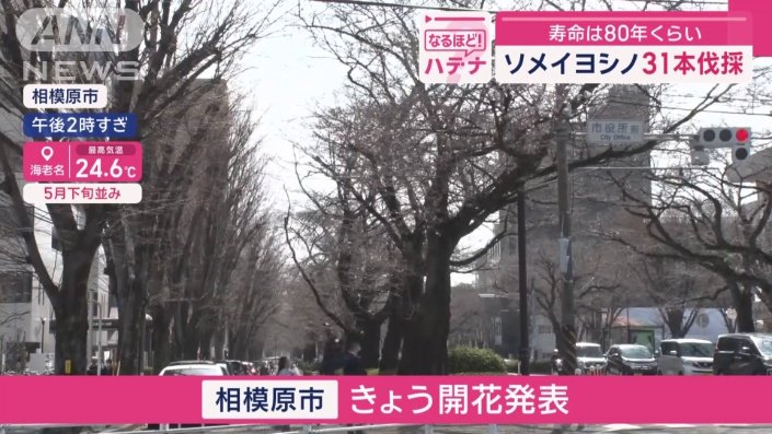 神奈川県相模原市