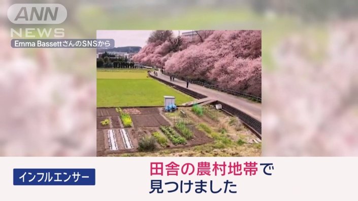 理由の一つは「SNS」