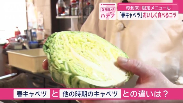 春キャベツと、他の時期のものとの違いは？
