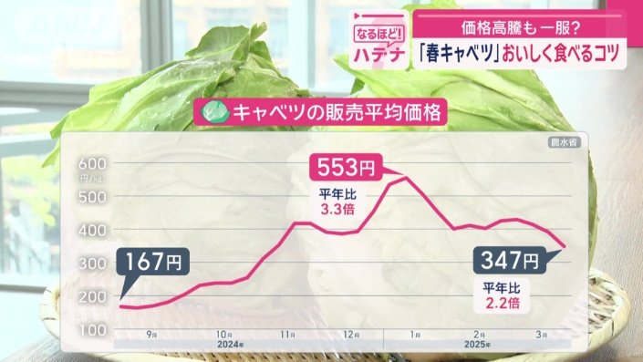 キャベツの平均価格