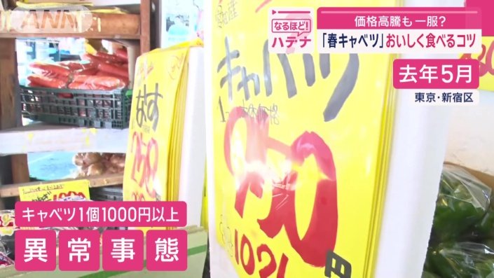 去年5月に取材した際は、キャベツが1個1000円以上もする異常事態だった