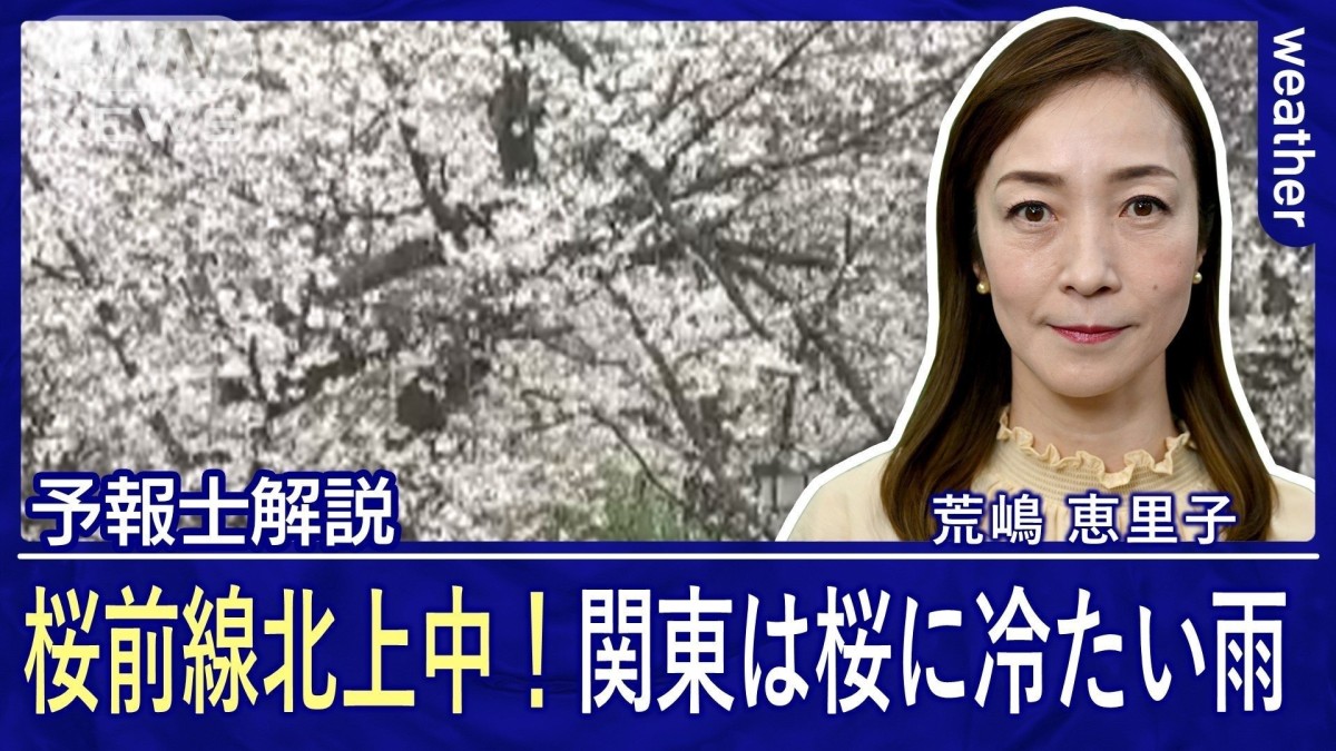 桜前線が北上中！関東は「長持ち」桜に冷たい雨　西日本〜東海はお花見日和！