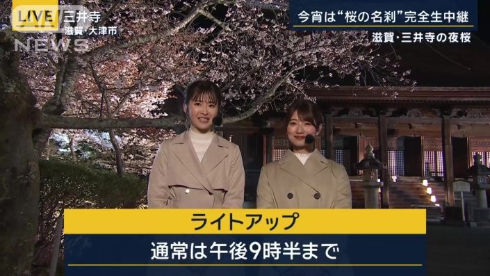 ライトアップは午後9時半まで