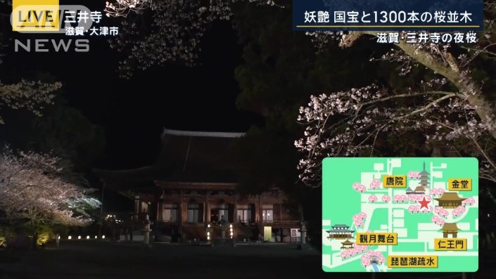 金堂と桜