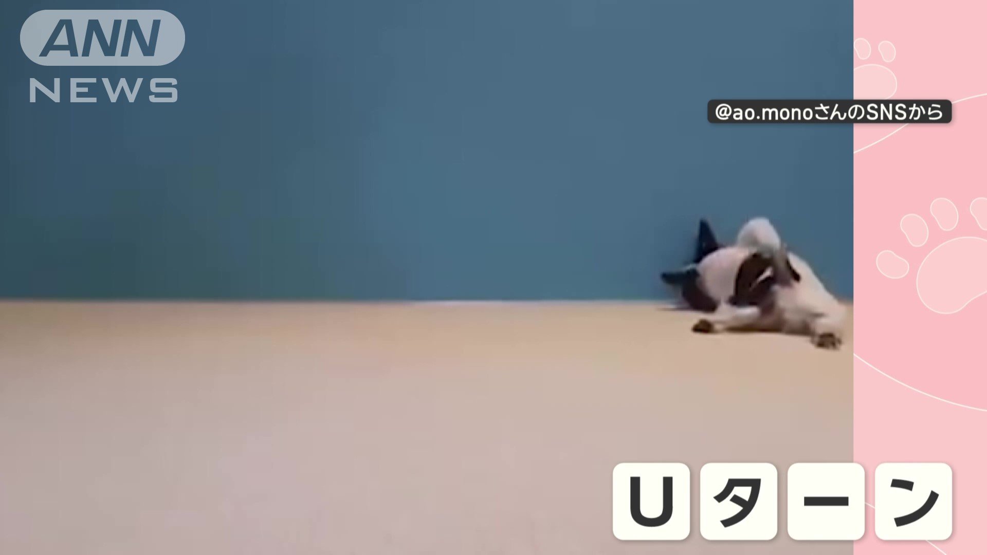 Uターンも!