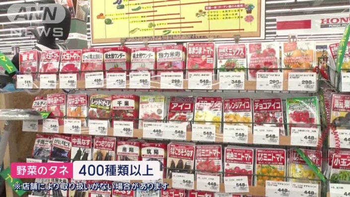 野菜の種