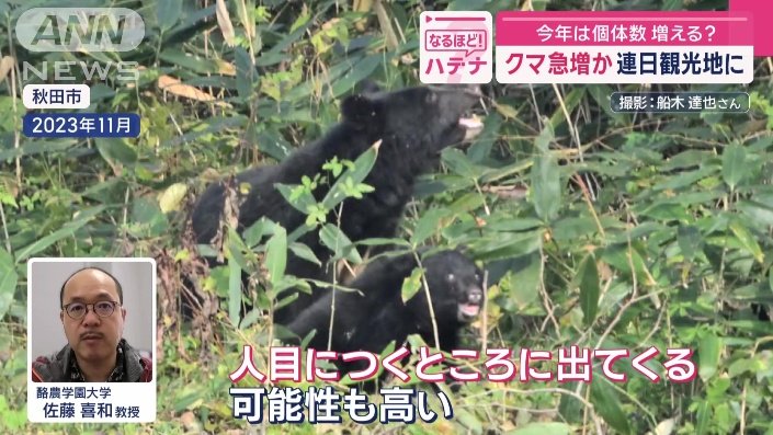 酪農学園大学　佐藤喜和教授