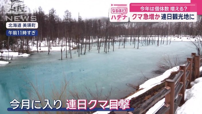 観光地でもクマ目撃される