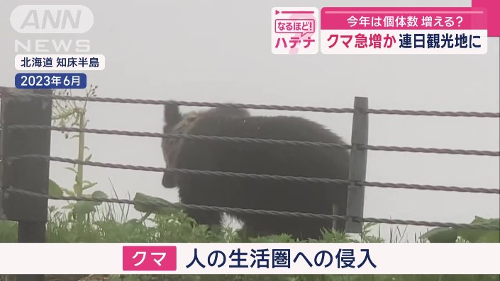 人の生活圏への侵入