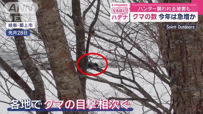 各地でクマの目撃相次ぐ