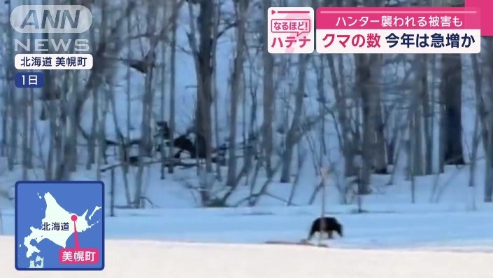 北海道の美幌町でヒグマ撮影される