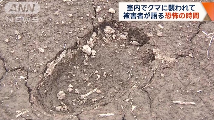 空き家から北東に1キロ付近で確認された足跡