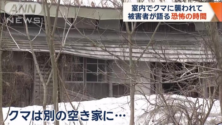 クマは別の空き家に入ったため、夜通しで警察や猟友会が監視を続けた