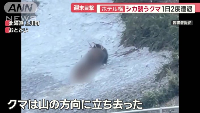 山の方向に立ち去った