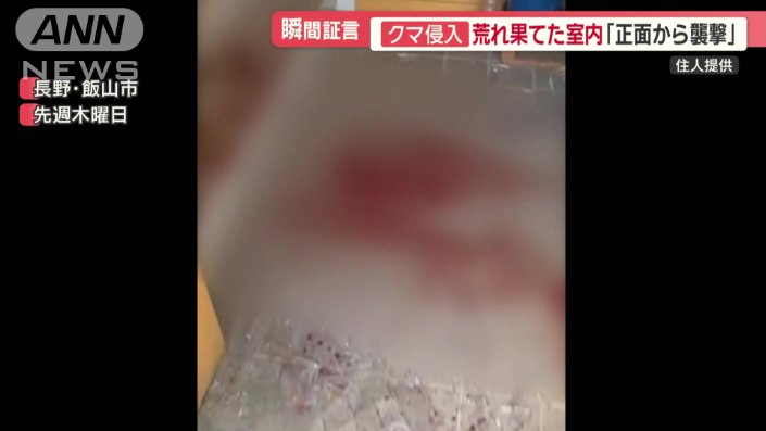 クマが侵入した直後に撮影された映像