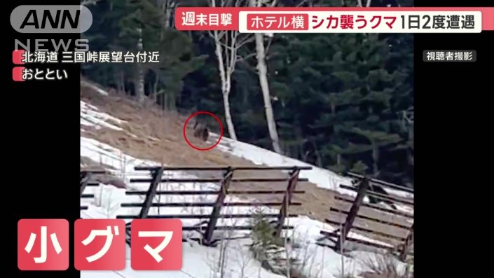 ホテルから車で20分ほどの場所