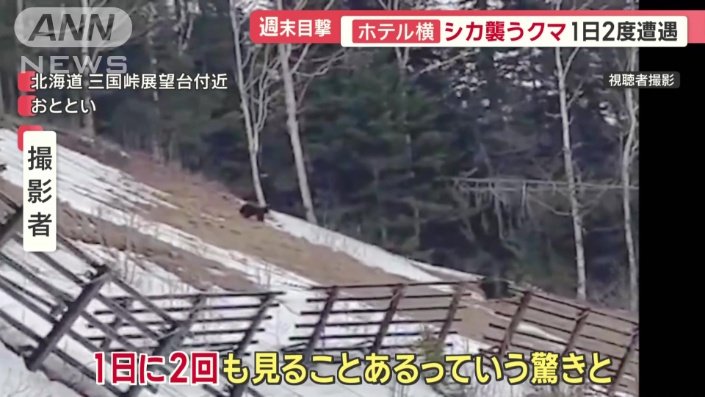 「いっぱい人が通る国道の方にまで」