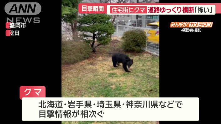 岩手・埼玉・神奈川でも目撃情報
