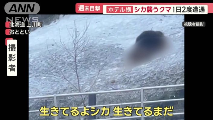 北海道上川町