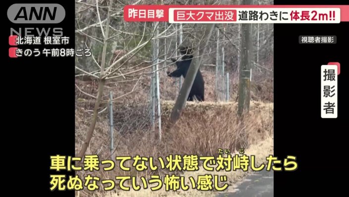 「自分の身長よりははるかに大きい」