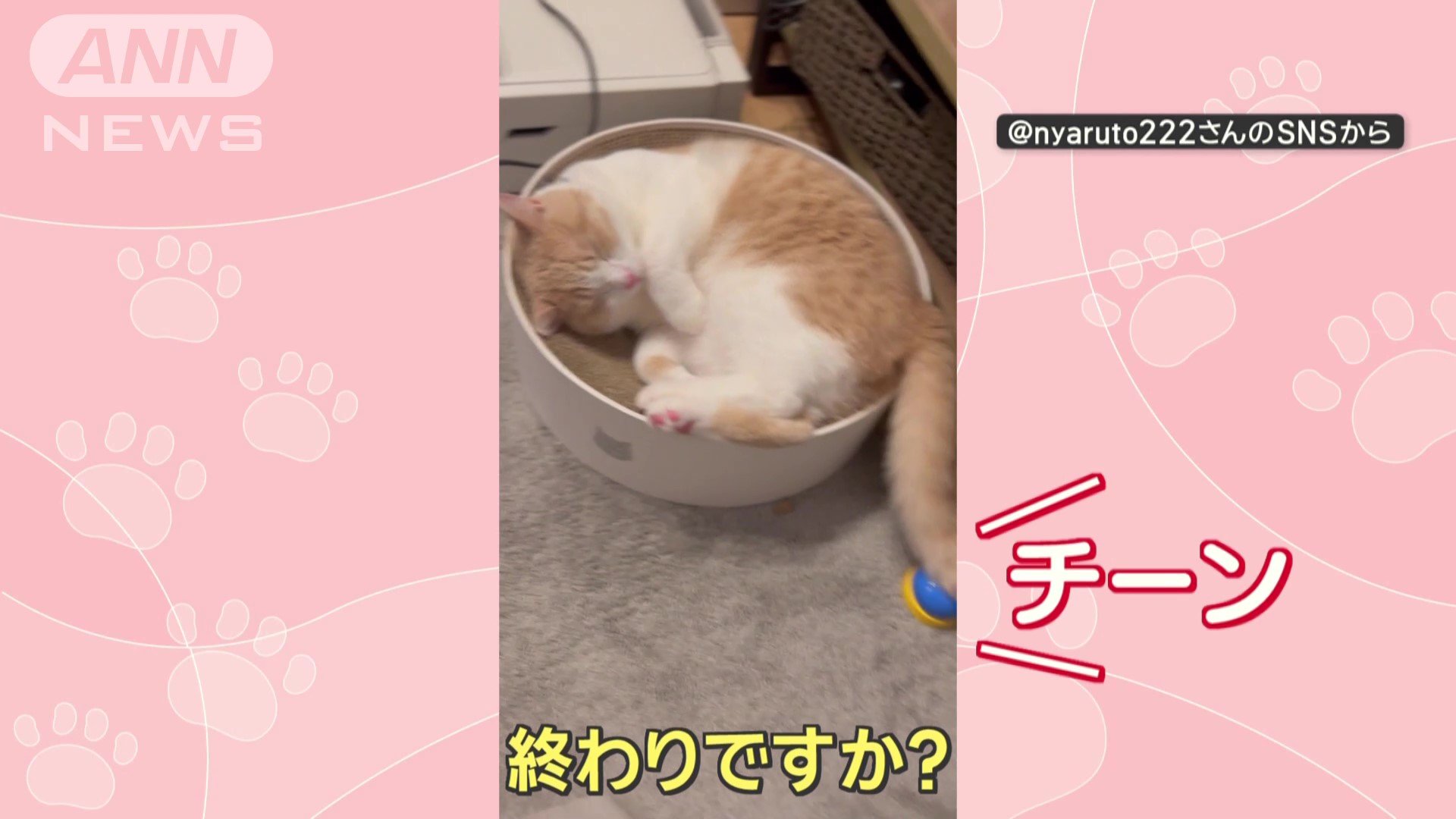 「終わりですか?」「チーン」