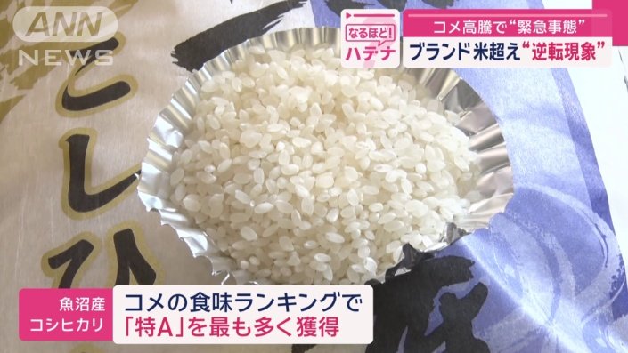 魚沼産コシヒカリ