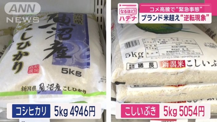 魚沼産コシヒカリを超える価格
