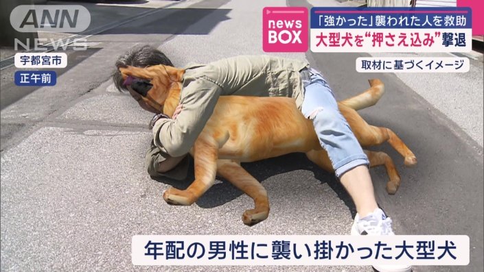 大型犬を取り押える