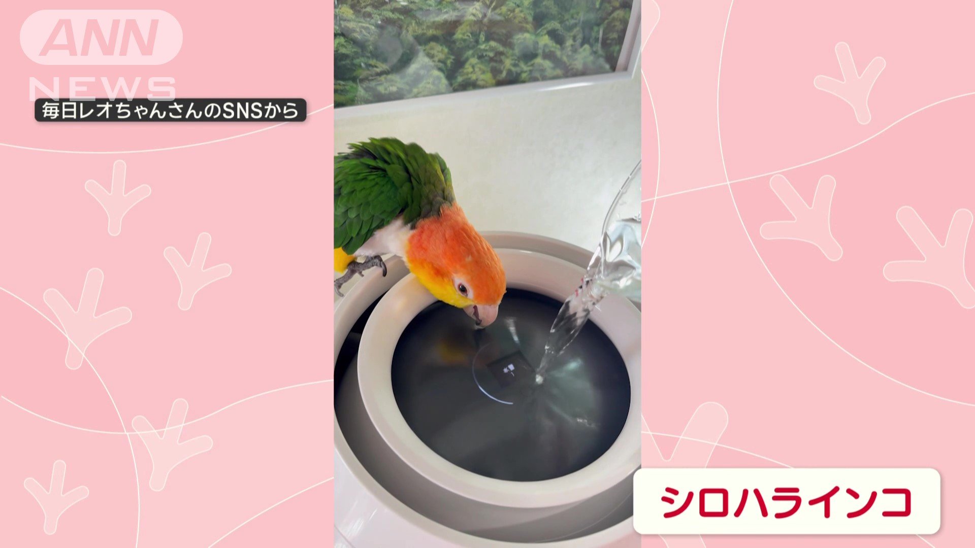 部屋で水を飲む